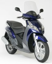 2007 Peugeot Geopolis 250 Exec. photo